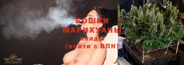 ешки Дмитриев