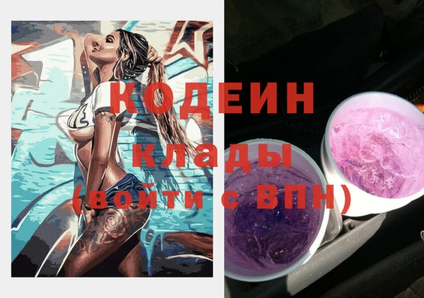 ешки Дмитриев