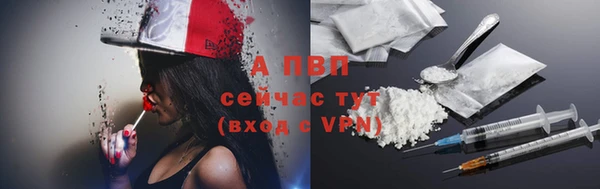 ПСИЛОЦИБИНОВЫЕ ГРИБЫ Дмитровск
