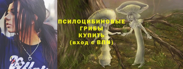PSILOCYBIN Елизово